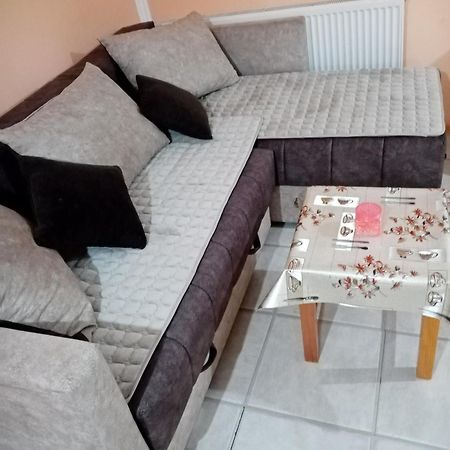 Milica Apartmani Vrdnik Exterior foto