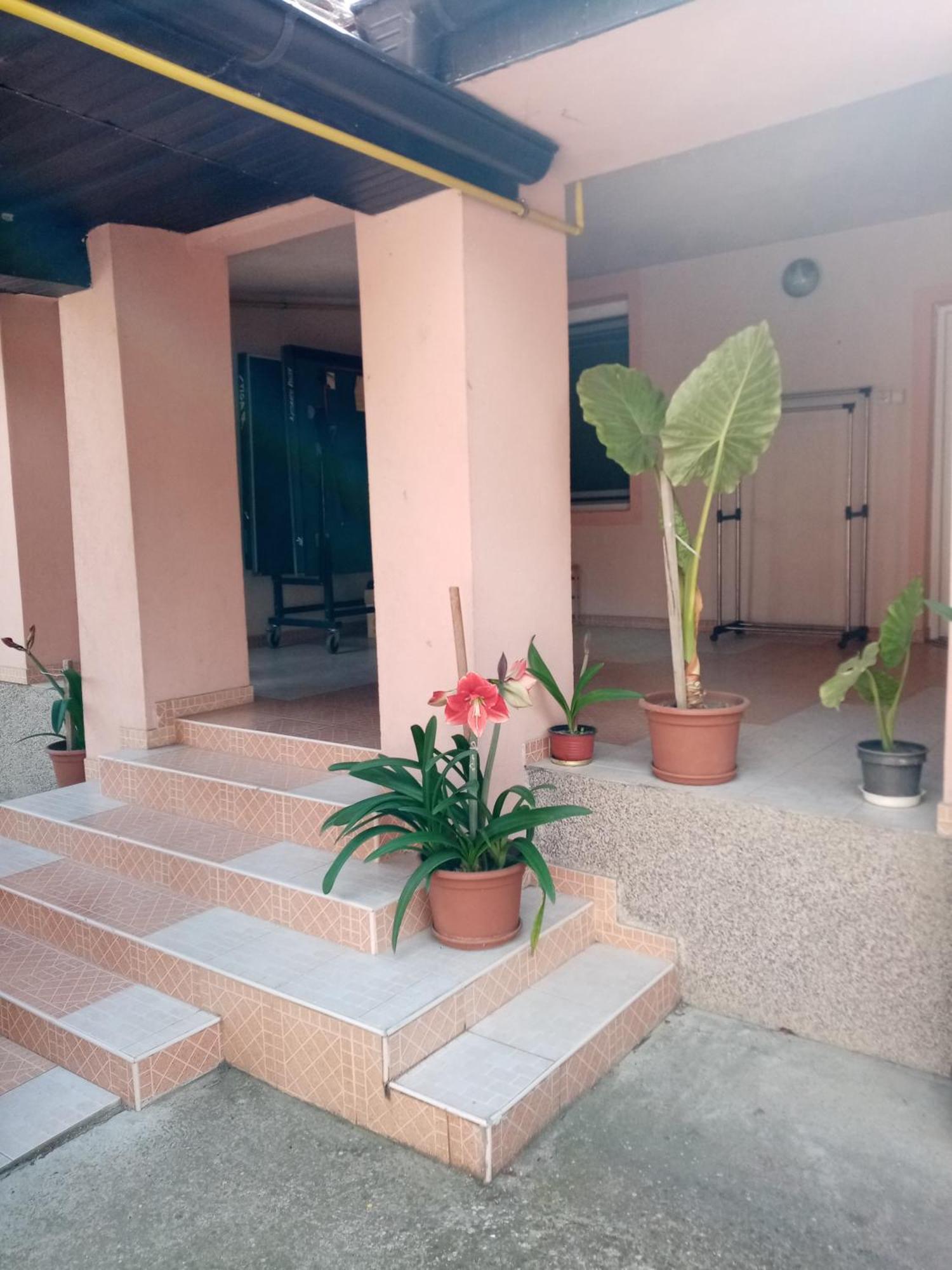 Milica Apartmani Vrdnik Exterior foto