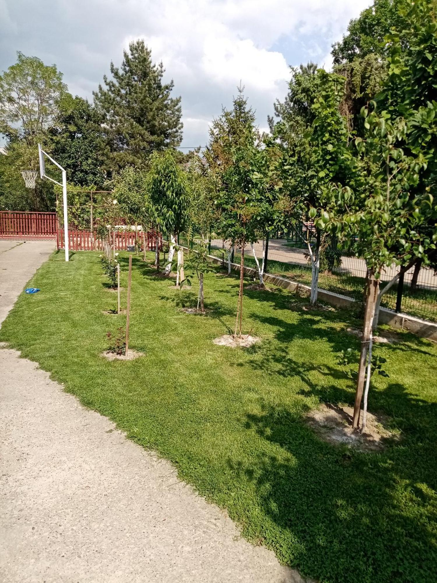 Milica Apartmani Vrdnik Exterior foto